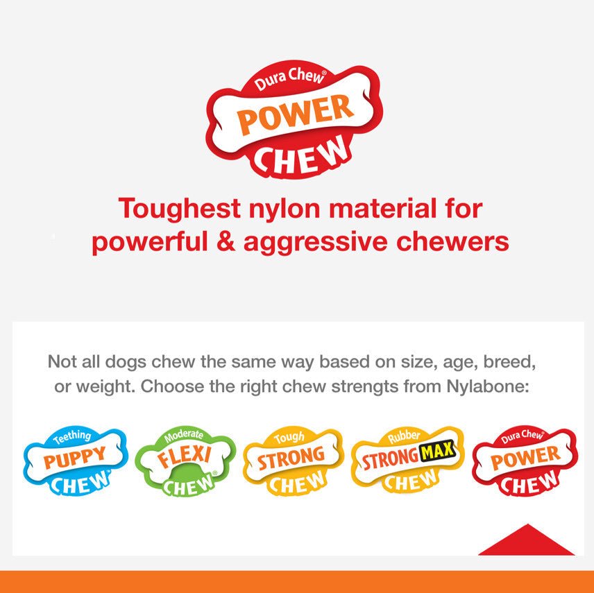 Nylabone Power Chew Bacon Chicken Durable Dog Chew Toy Pack Bacon Chicken, Medium/Wolf up to 35 lb 2 ct - Pets Perfect