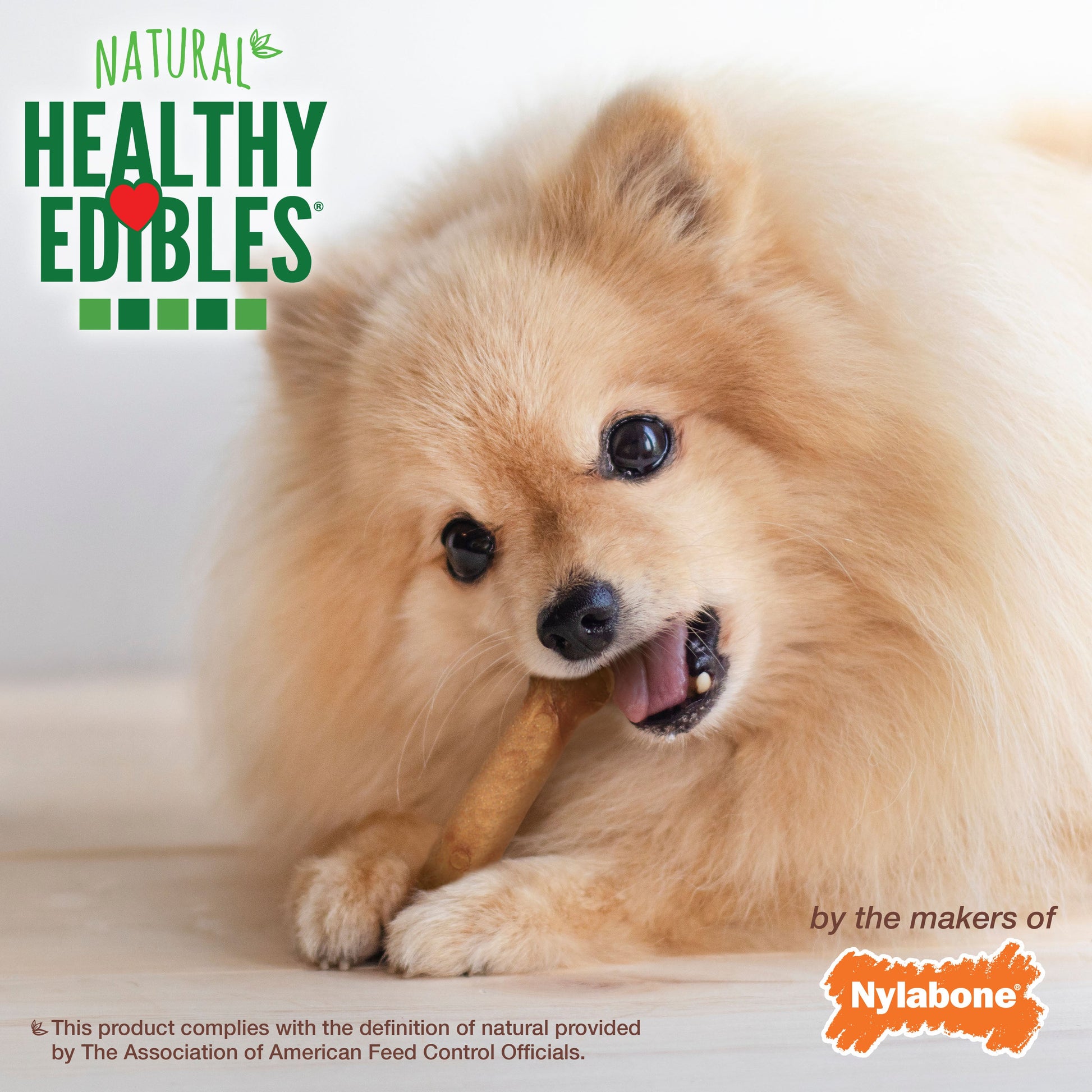 Nylabone Healthy Edibles All-Natural Long Lasting Dog Chew Treats, view 6