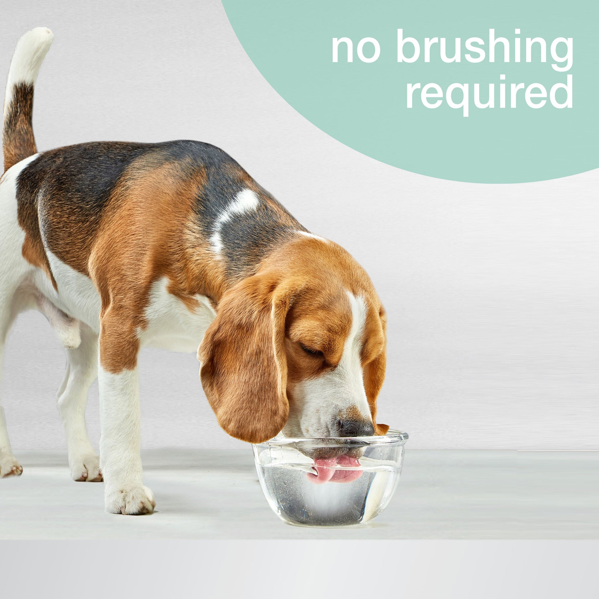 Nylabone Advanced Oral Care Dog Cat Breath Freshener Peppermint, view 2