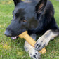 Nylabone Barbell Power Chew Durable Dog Toy Peanut Butter, 50 lb 1 ct, view 2