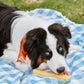 Nylabone Power Chew Dog Toy Peanut Butter, X-Large/Souper 50 lb. 1 ct, view 3