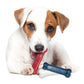 Nylabone Power Dog Chew Variety Triple Pack Chicken, view 2