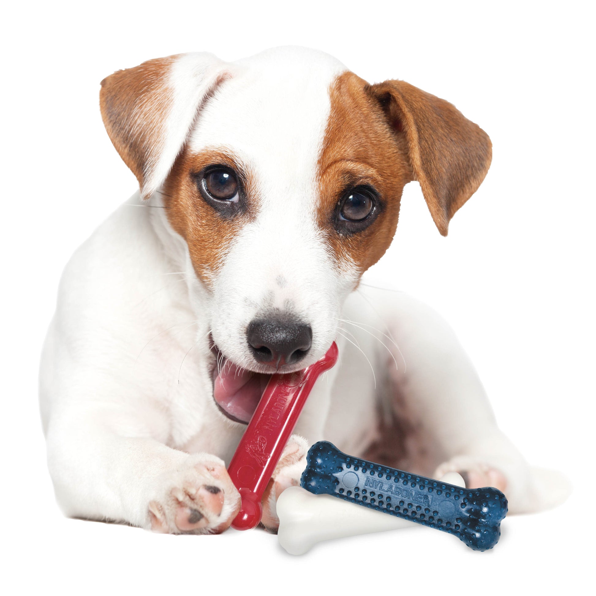 Nylabone Power Dog Chew Variety Triple Pack Chicken, view 2