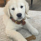 Nylabone Classic Puppy Chew Flavored Durable Dog Chew Toy Chicken, view 2