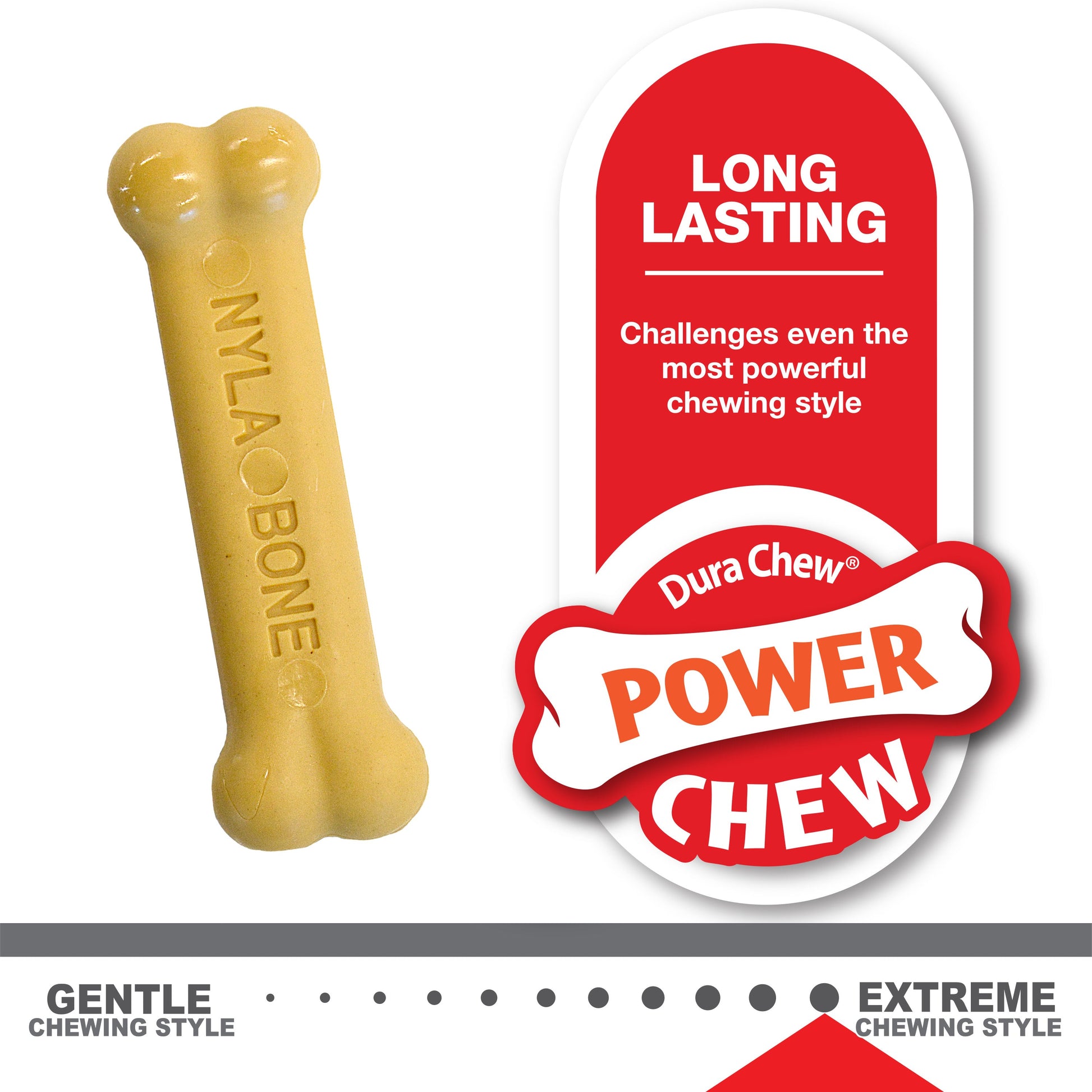 Nylabone Classic Puppy Chew Flavored Durable Dog Chew Toy Chicken, view 4