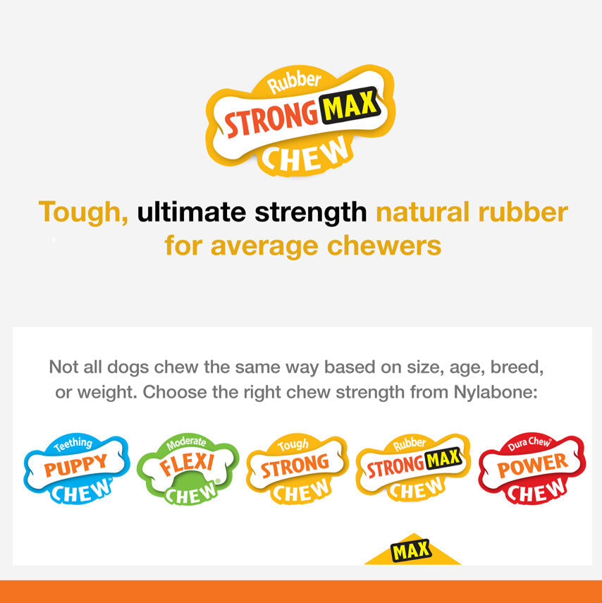 Nylabone Flavor Frenzy Strong Chew Dog Toy Bacon Cheeseburger, view 3
