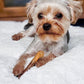 Nylabone Power Chew Flavor Frenzy Durable Dog Chew Toys Twin Pack, view 2