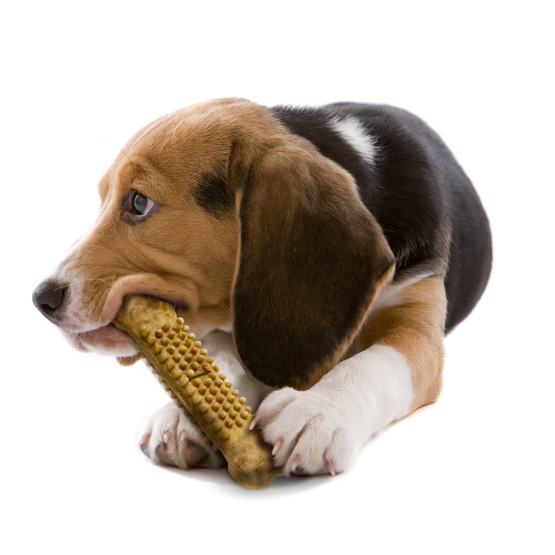 Nylabone Natural Nubz Chicken Dog Treats Chicken, Large 30 lb. 2 ct, view 8