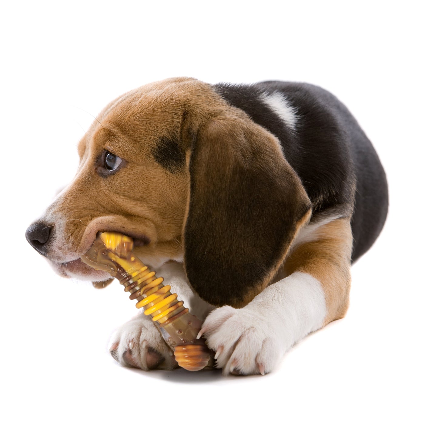 Nylabone Flavor Frenzy Power Chew Durable Dog Chew Toy Philly, view 2