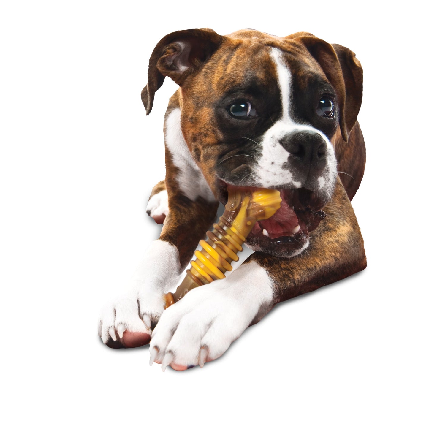 Nylabone Flavor Frenzy Power Chew Durable Dog Chew Toy Philly, view 2