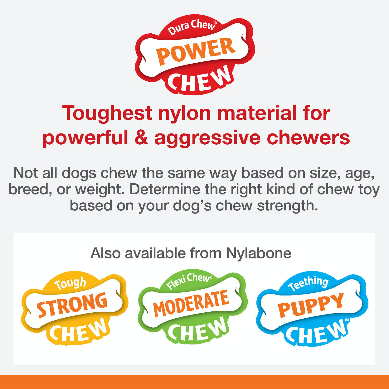 Nylabone Flavor Frenzy Power Chew Durable Dog Chew Toy Philly, view 3