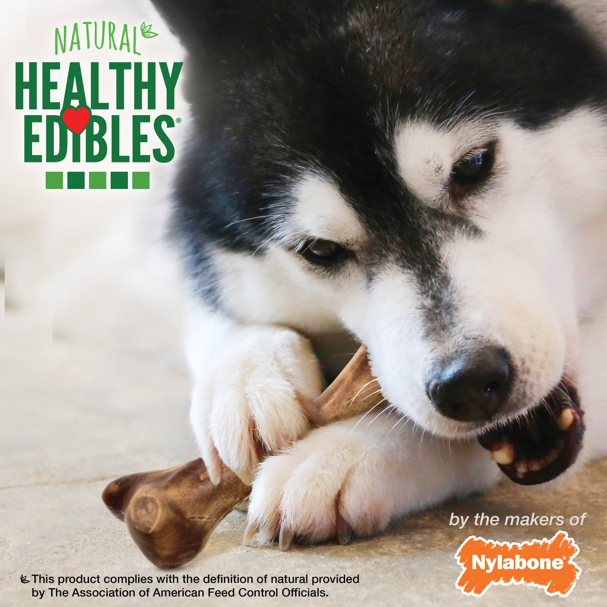 Nylabone Healthy Edibles WILD All-Natural Long Lasting Dog Chew Treats, view 5