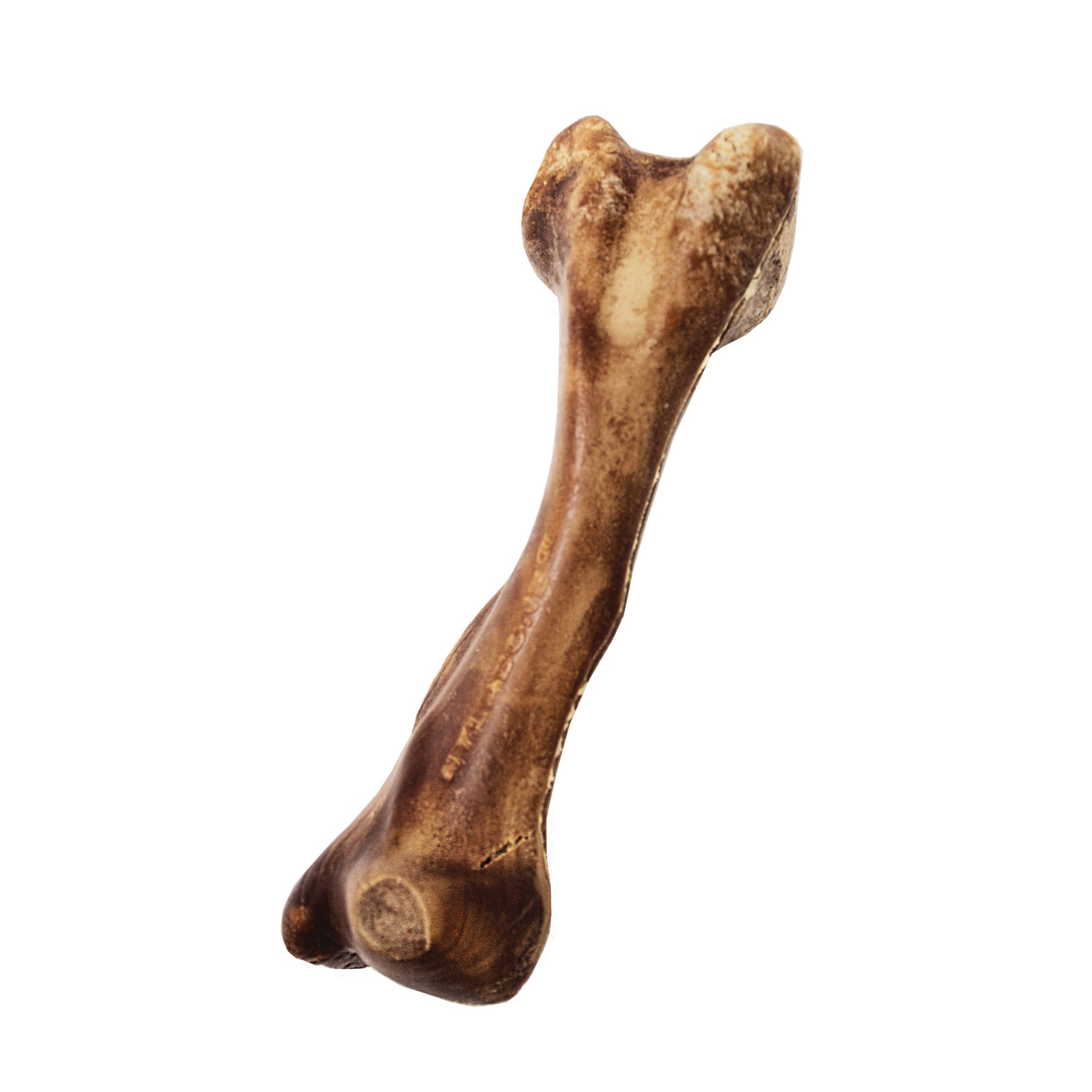 Nylabone Healthy Edibles WILD All-Natural Long Lasting Dog Chew Treats, view 9