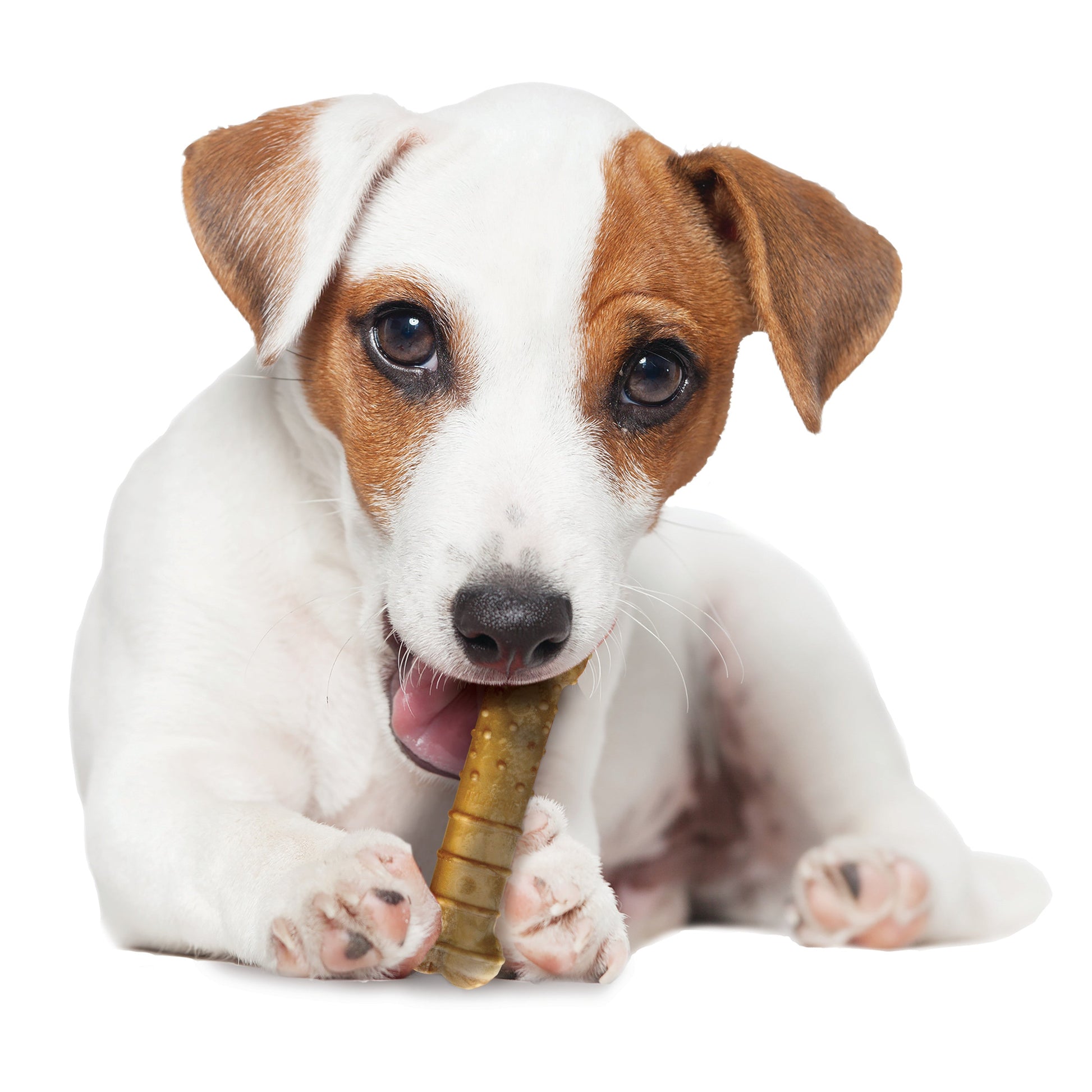 Nylabone Healthy Edibles All-Natural Long Lasting Dog Chew Treats, view 10