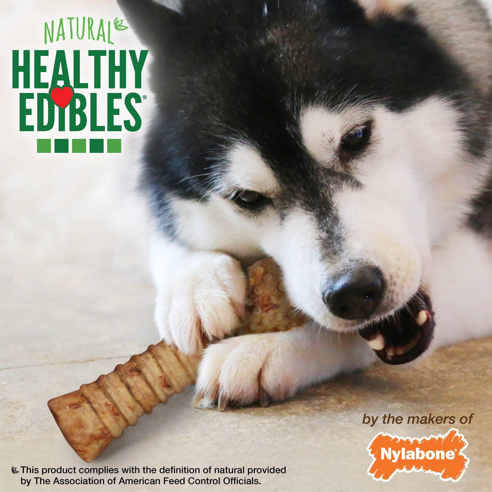 Nylabone Healthy Edibles All-Natural Long Lasting Dog Chew Treats, view 5