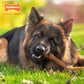 Nylabone Power Dog Chew Femur Dog Bone Alternative Bacon Large/Giant, view 2