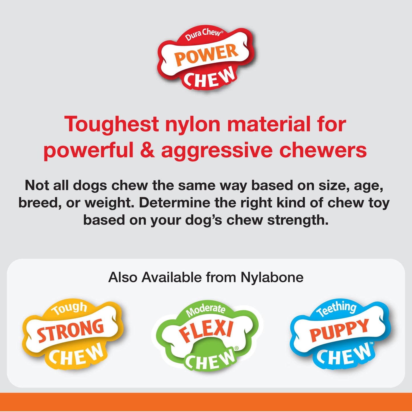 Nylabone Power Chew Marrow Bone Alternative Dog Chew Toy Beef, view 4