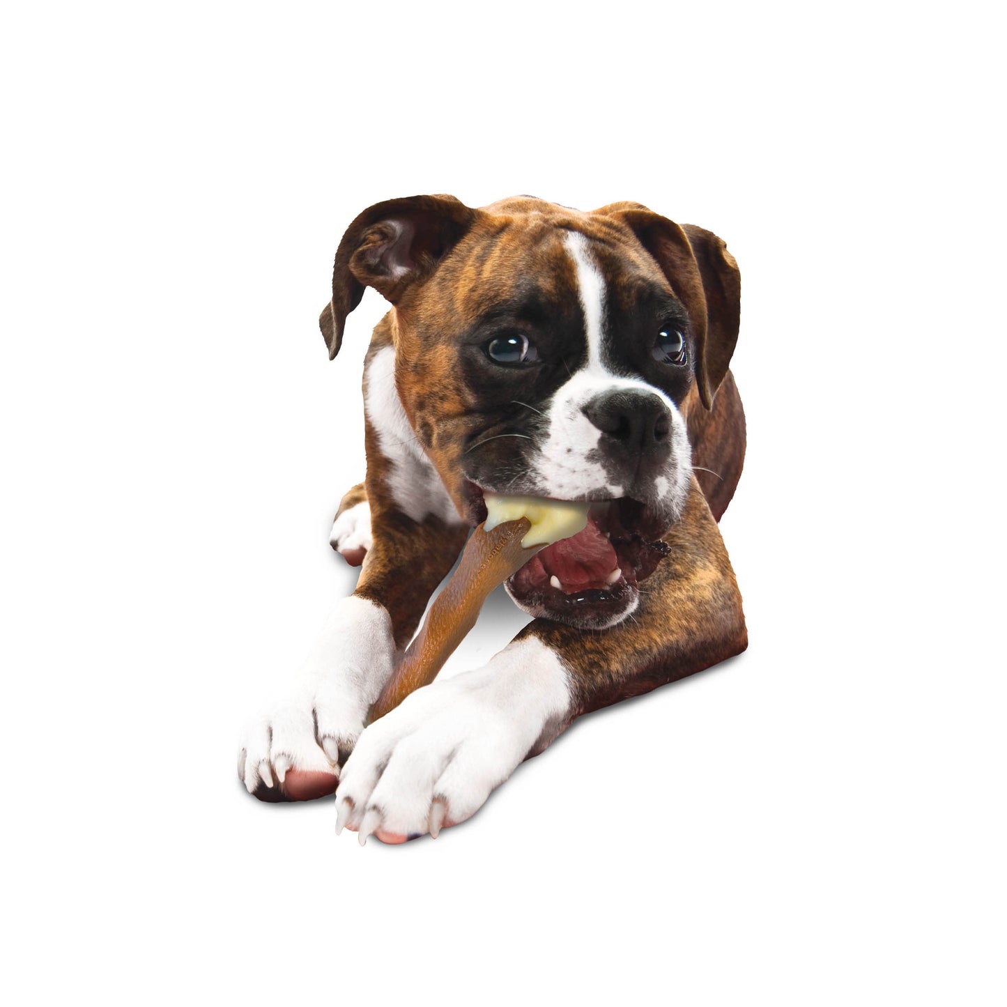 Nylabone Power Dog Chew Femur Dog Bone Alternative Beef, view 9
