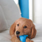 Nylabone Puppy Dental Dinosaur Chew Dog Toy for Teething Puppies, view 2