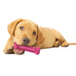 Nylabone Puppy Chew Variety Dog Toy Treat Triple Pack Chicken Lamb, view 4