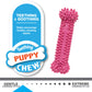 Nylabone Puppy Chew Variety Dog Toy Treat Triple Pack Chicken Lamb, view 5