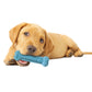 Nylabone Puppy Chew Variety Dog Toy Treat Triple Pack 3 ct, view 4