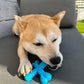 Nylabone Power Chew Comfort Hold x Bone Dog Toy Beef, view 2