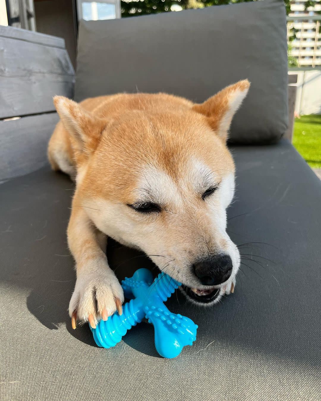 Nylabone Power Chew Comfort Hold x Bone Dog Toy Beef, view 2