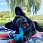 Nylabone Power Chew Comfort Hold x Bone Dog Toy Beef, view 6