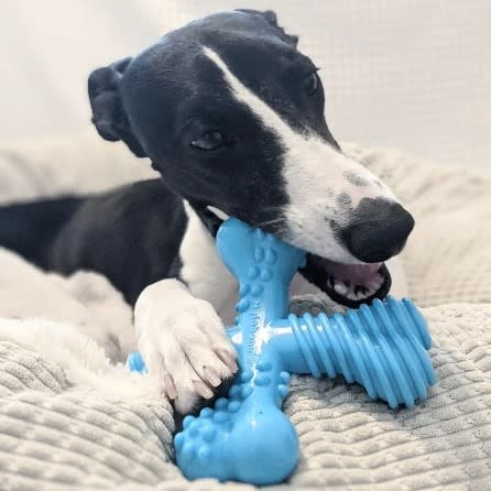Nylabone Power Chew Comfort Hold x Bone Dog Toy Beef, 50 lb 1 ct, view 2