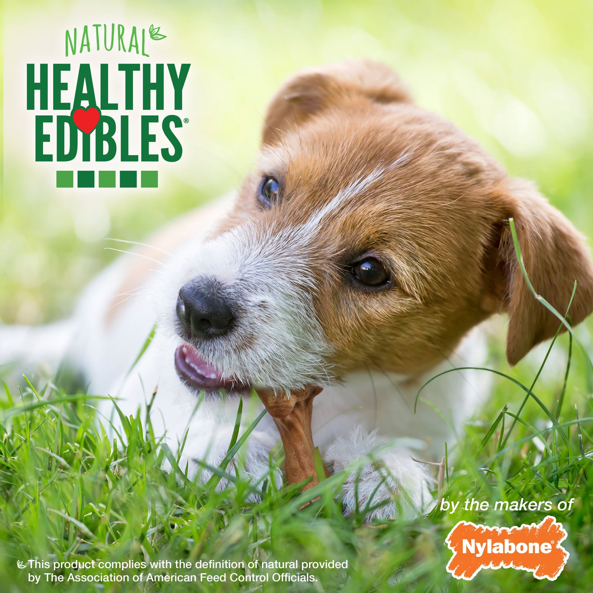 Nylabone Healthy Edibles WILD All-Natural Long Lasting Dog Chew Treats, view 6