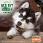 Nylabone Healthy Edibles WILD All-Natural Long Lasting Puppy Dog Chew, view 6