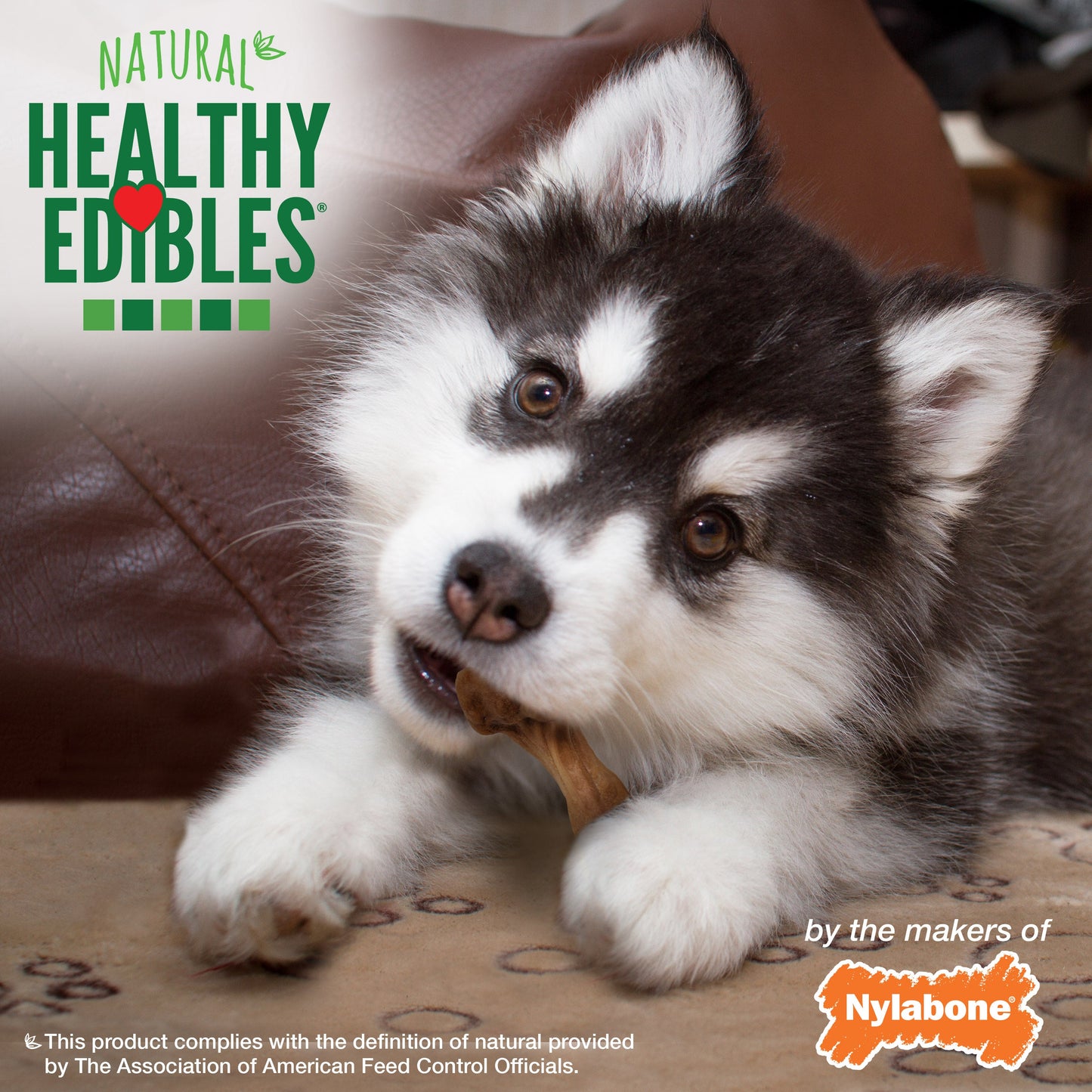 Nylabone Healthy Edibles WILD All-Natural Long Lasting Puppy Dog Chew, view 6