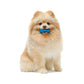 Nylabone Moderate Dog Chew FlexiChew Bone Peanut Butter Bacon, view 2