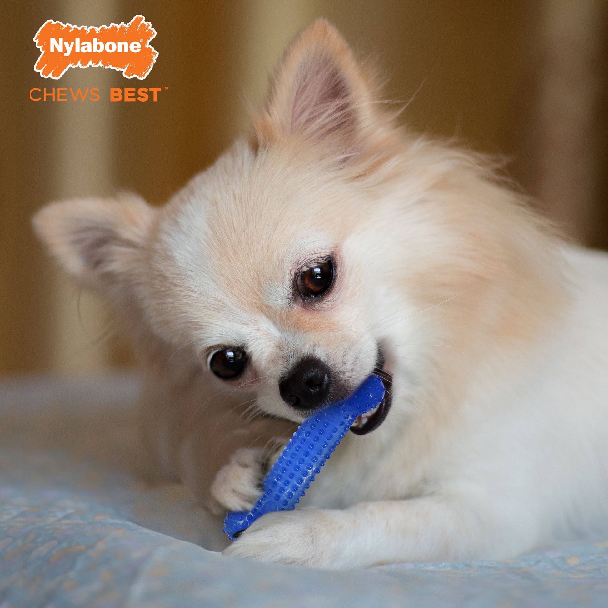 Nylabone FlexiChew Dog Dental Pack Peanut Butter Bacon, view 2