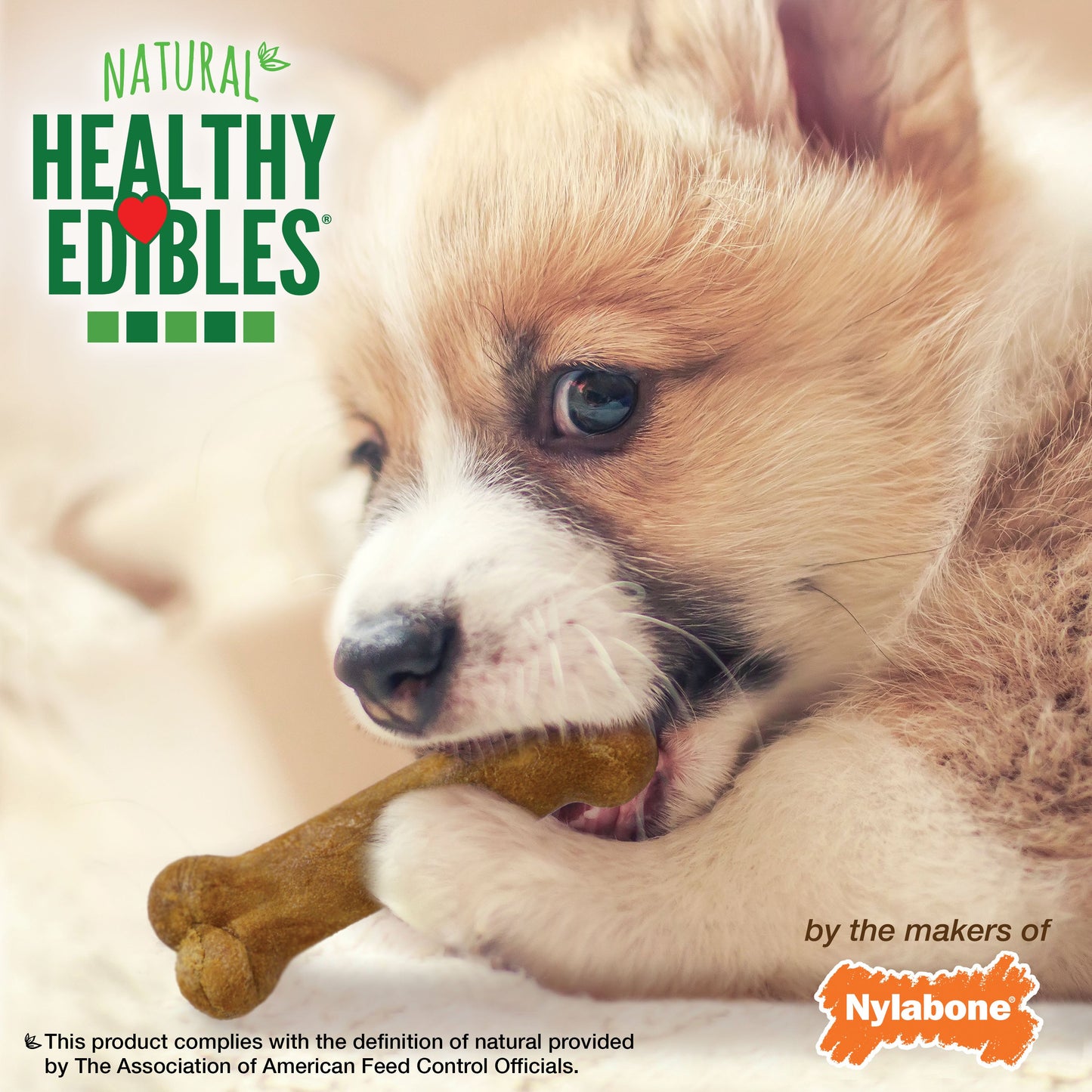 Nylabone Healthy Edibles All-Natural Long Lasting Puppy Dog Chew, view 9