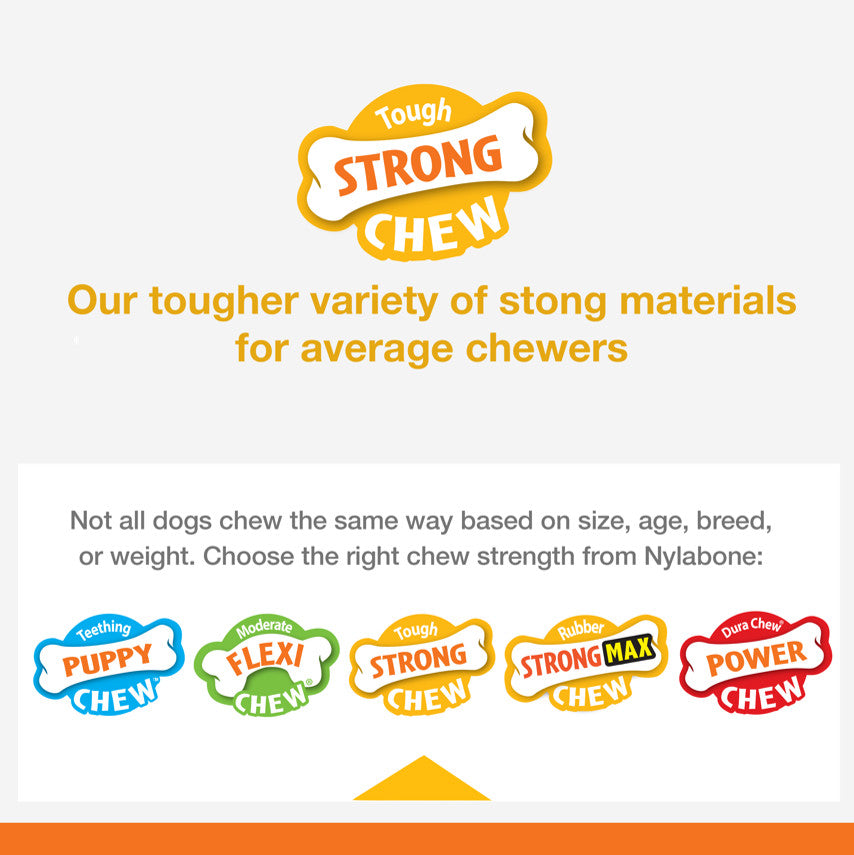 Nylabone Strong Chew Real Wood Dog Stick Dog Toy X-Large/Souper 50 lb., view 5
