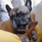 Nylabone Ergonomic Hold Chew Wishbone Power Chew Durable Dog Toy Bison, view 3