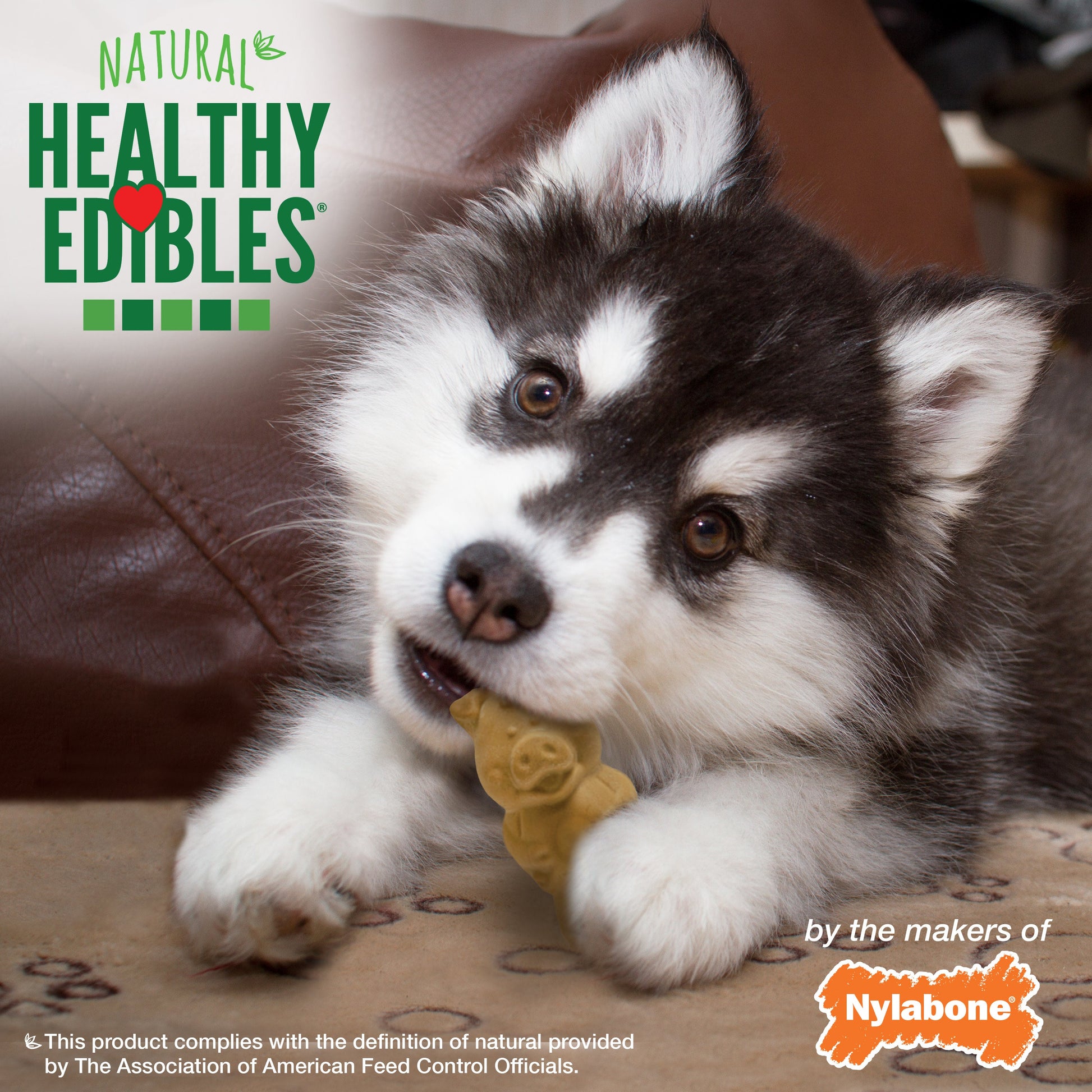 Nylabone Healthy Edibles All-Natural Long Lasting Puppy Dog Chew, view 6