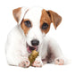 Nylabone Healthy Edibles All-Natural Long Lasting Puppy Dog Chew, view 10