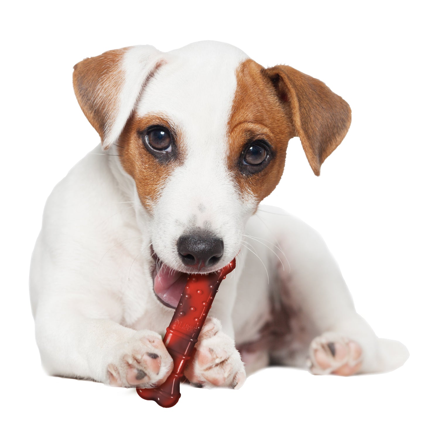 Nylabone Flavor Frenzy Power Chew Durable Dog Chew Toy Beef Jerky, view 3