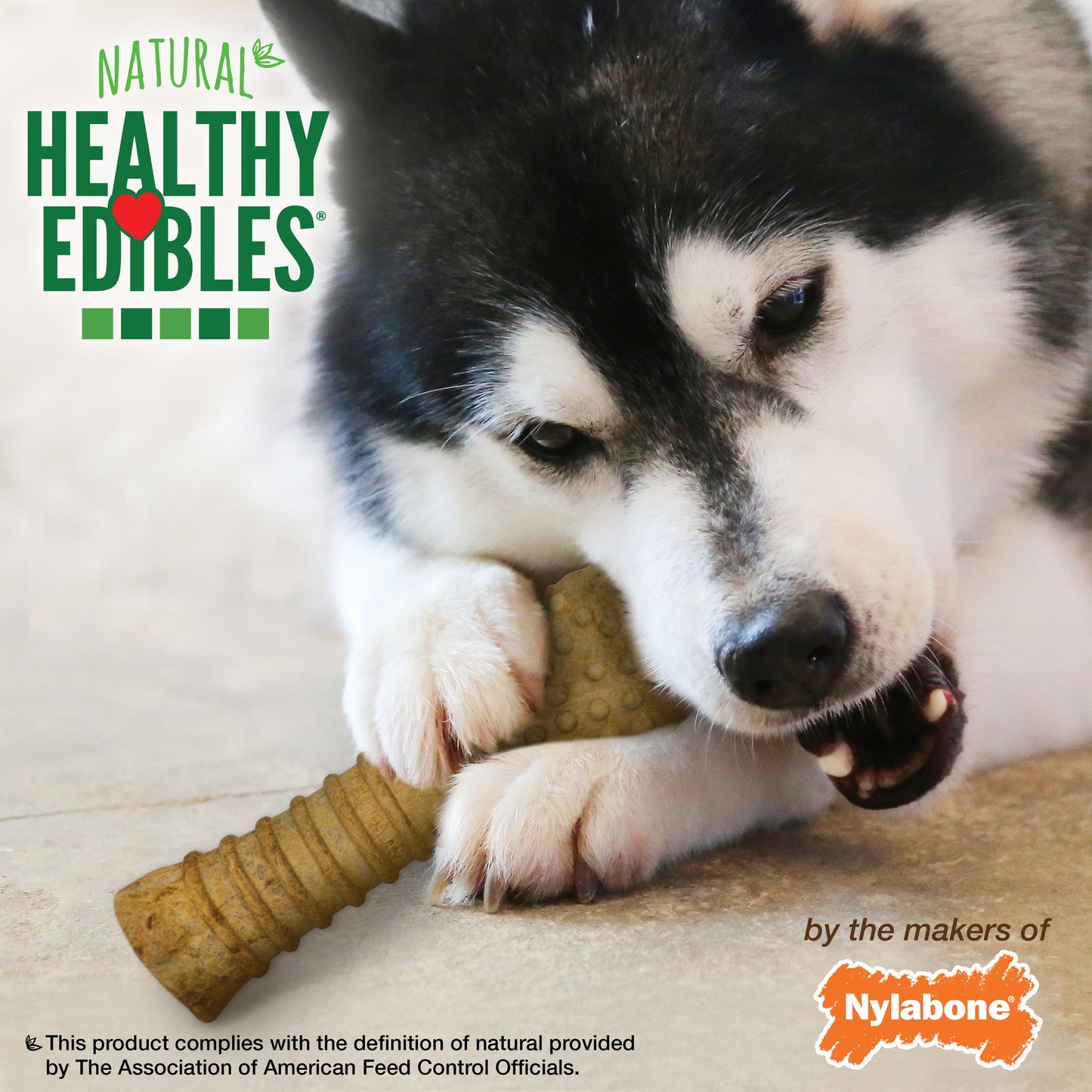 Nylabone Healthy Edibles All-Natural Long Lasting Dog Chew Treats 1 ct, view 6