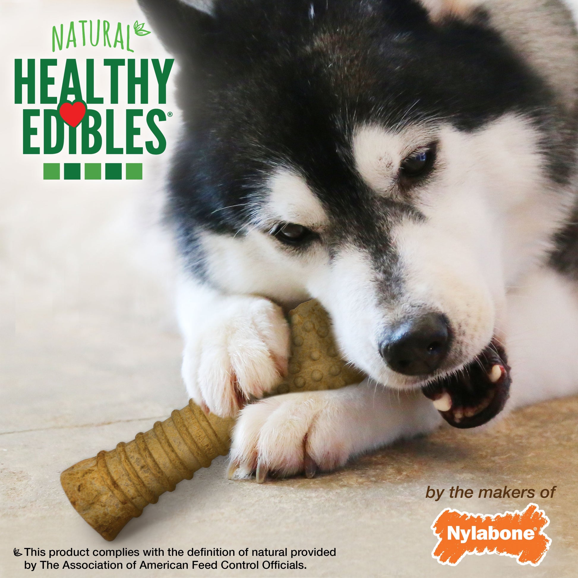 Nylabone Healthy Edibles All-Natural Long Lasting Dog Chew Treats 1 ct, view 6