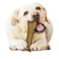 Nylabone Healthy Edibles All-Natural Long Lasting Dog Chew Treats 1 ct, view 10