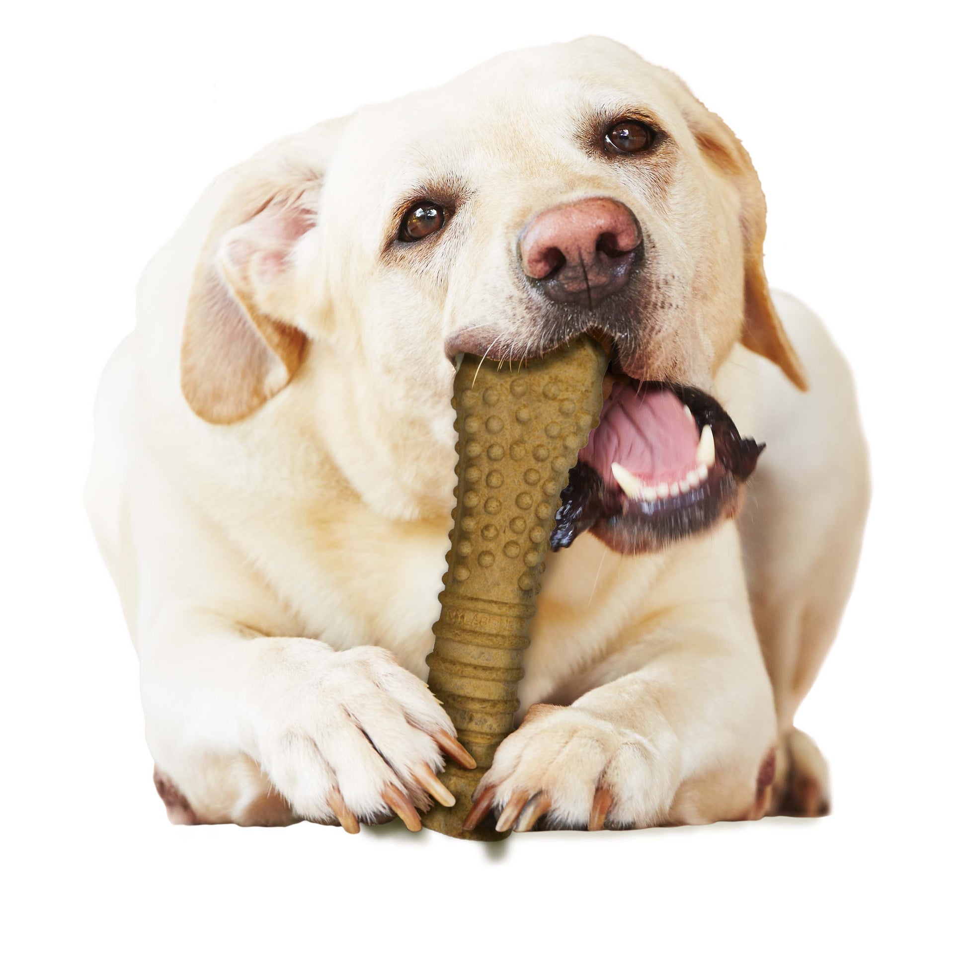 Nylabone Healthy Edibles All-Natural Long Lasting Dog Chew Treats 1 ct, view 10