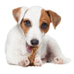 Nylabone Healthy Edibles Broth Bone All-Natural Long Lasting Dog Chew, view 10