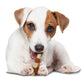 Nylabone Power Chew Shish Kabob Alternative Nylon Chew Dog Toy Chicken, view 6