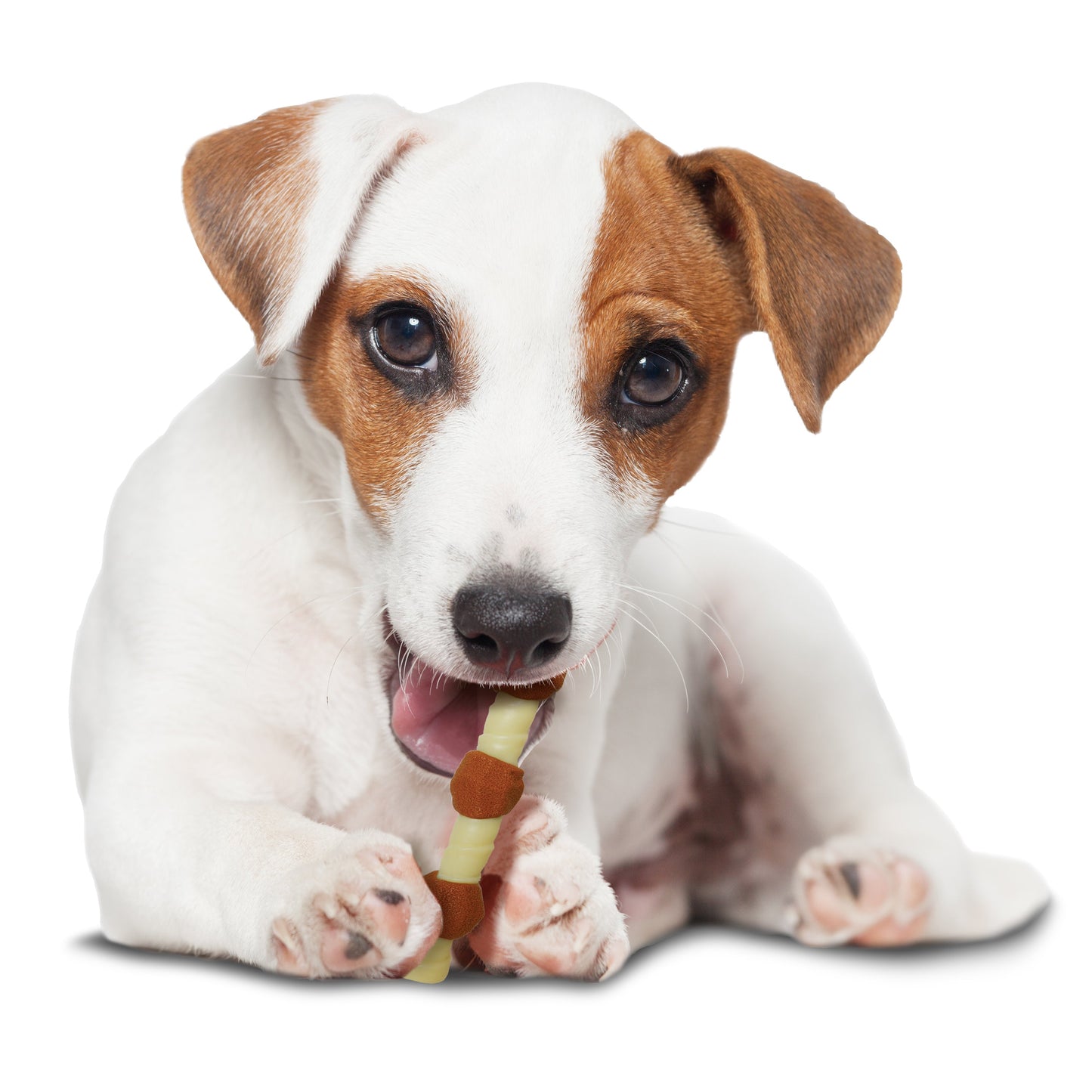 Nylabone Power Chew Shish Kabob Alternative Nylon Chew Dog Toy Chicken, view 6