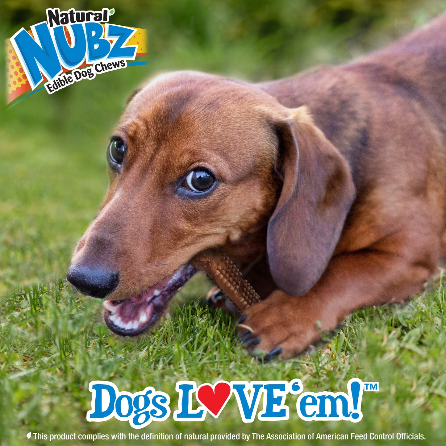 Nylabone Nubz Meaty Center Natural Long Lasting Edible Dog Chews Beef, view 6