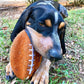 Nylabone Power Play Dog Football Gripz Medium/Wolf up to 35 lb. 5.5 in, view 5